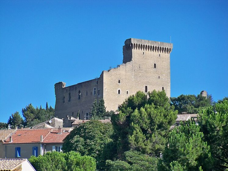Château des Papes (ruines)