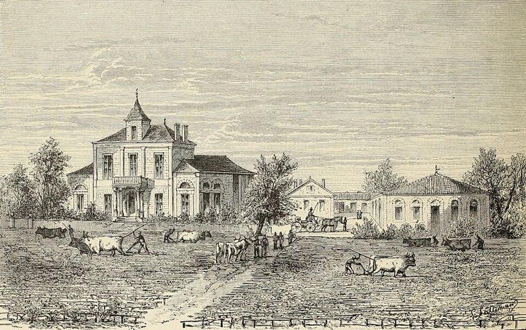 Château Montrose