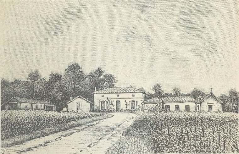 Domaine de Chevalier