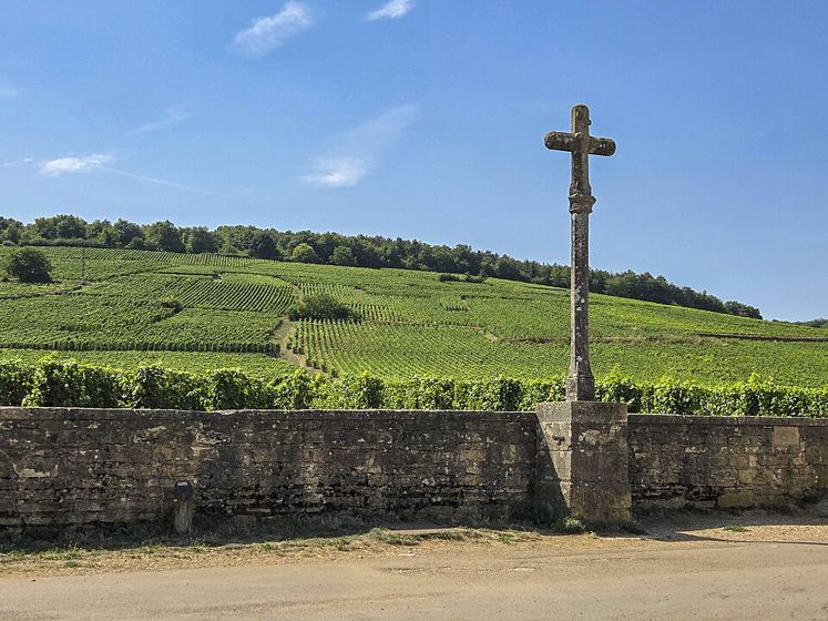 Domaine de la Romanée-Conti